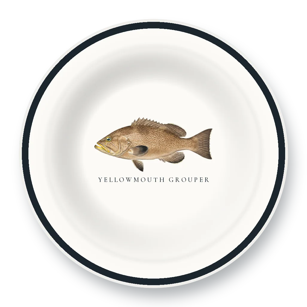 Enamel Bowl with Yellowmouth Grouper illustration