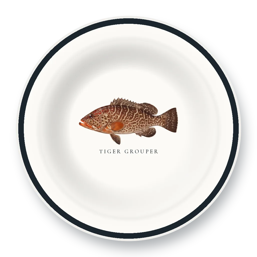 Enamel Bowl with Tiger Grouper illustration