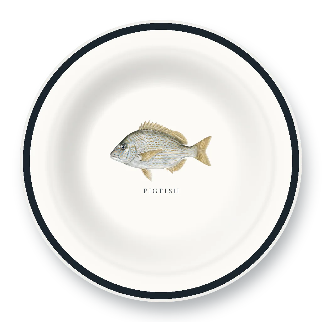 Enamel Bowl with Pigfish illustration