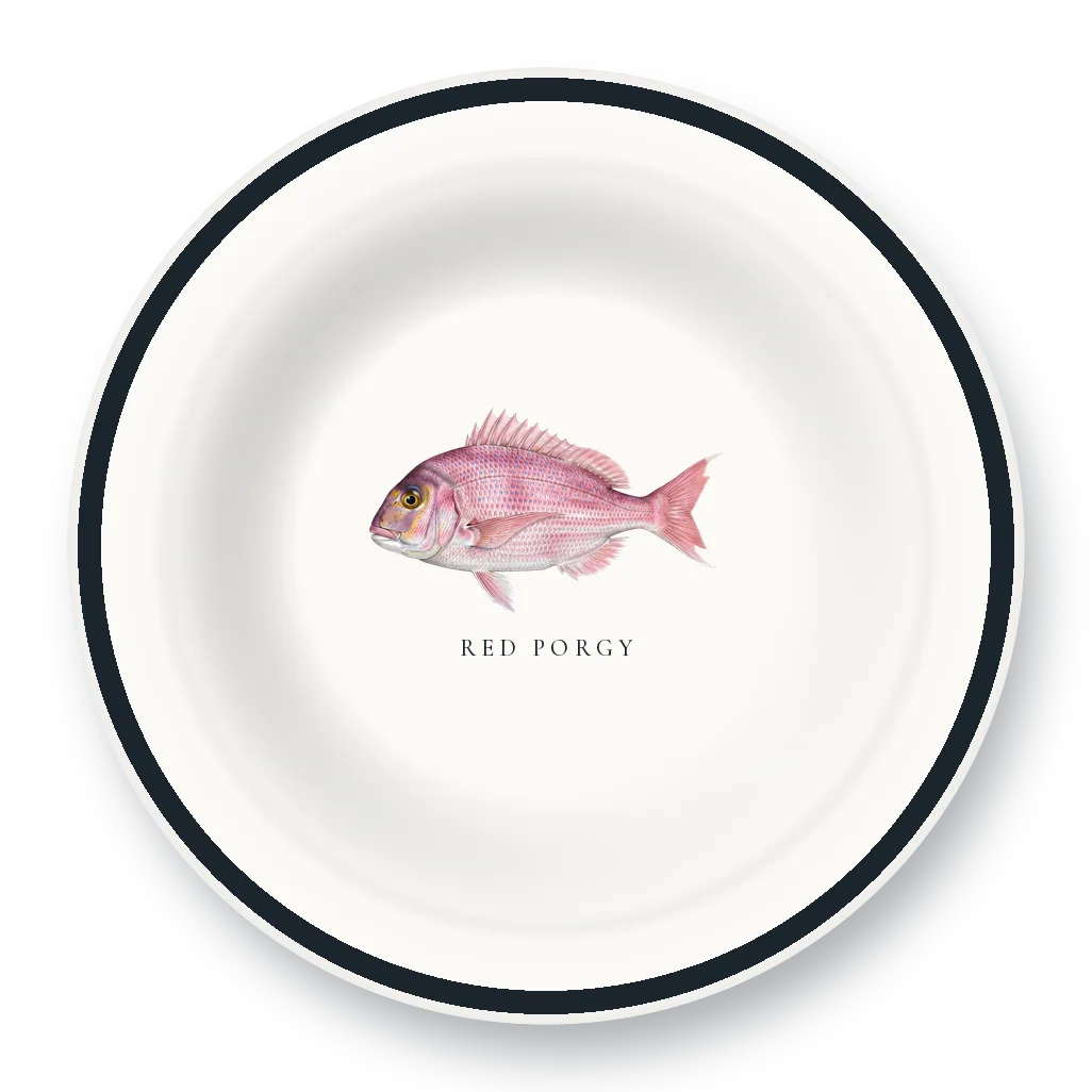 Enamel Bowl with Red Porgy illustration