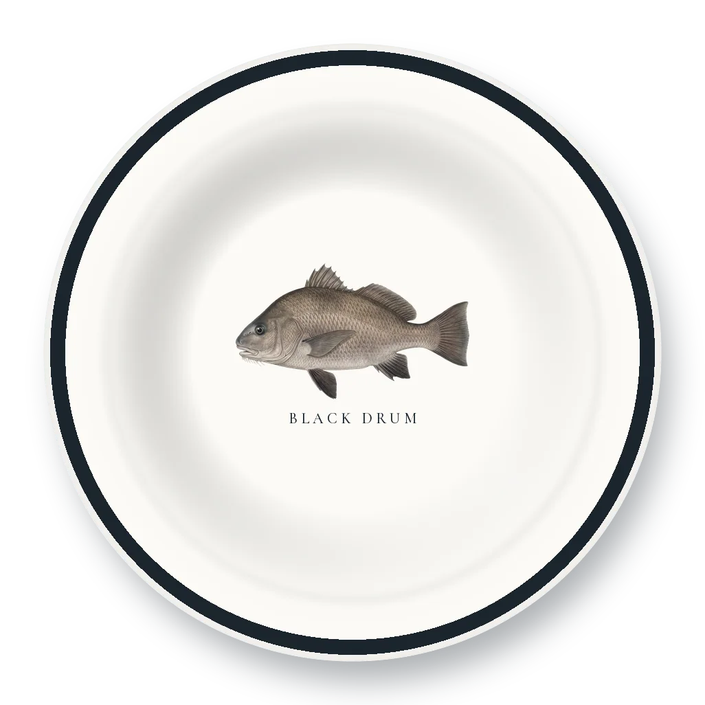 Enamel Bowl with Black Drum illustration
