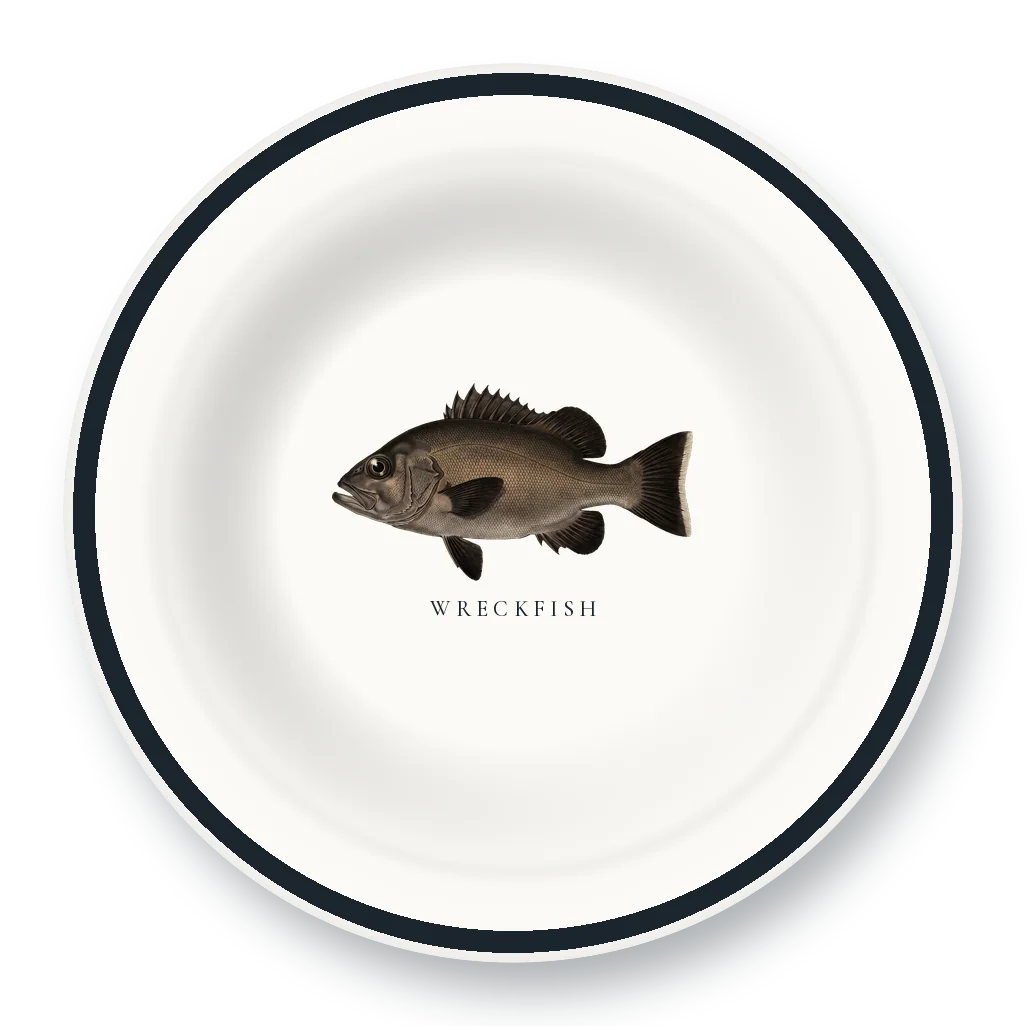 Enamel Bowl with Wreckfish illustration