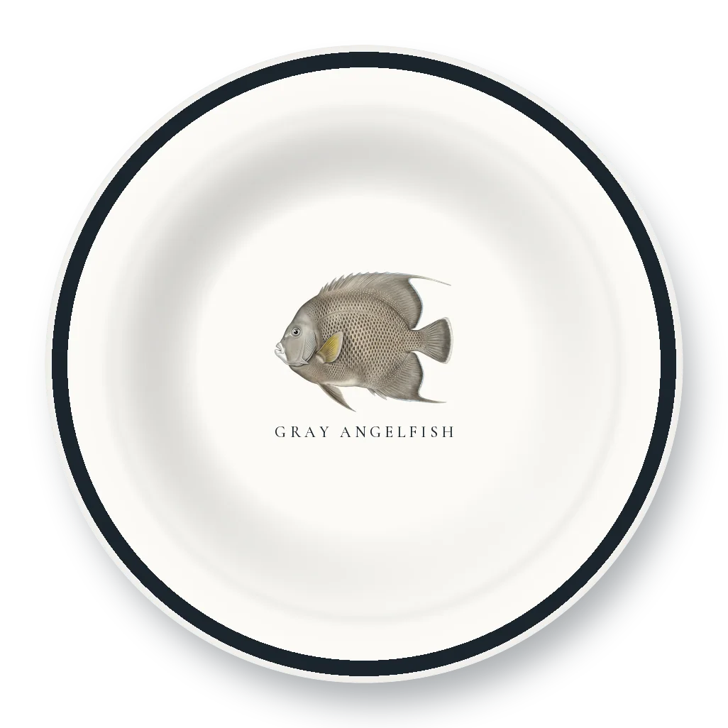 Enamel Bowl with Gray Angelfish illustration