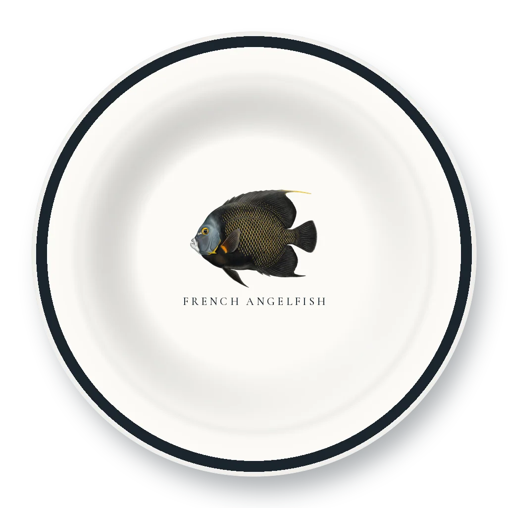 Enamel Bowl with French Angelfish illustration