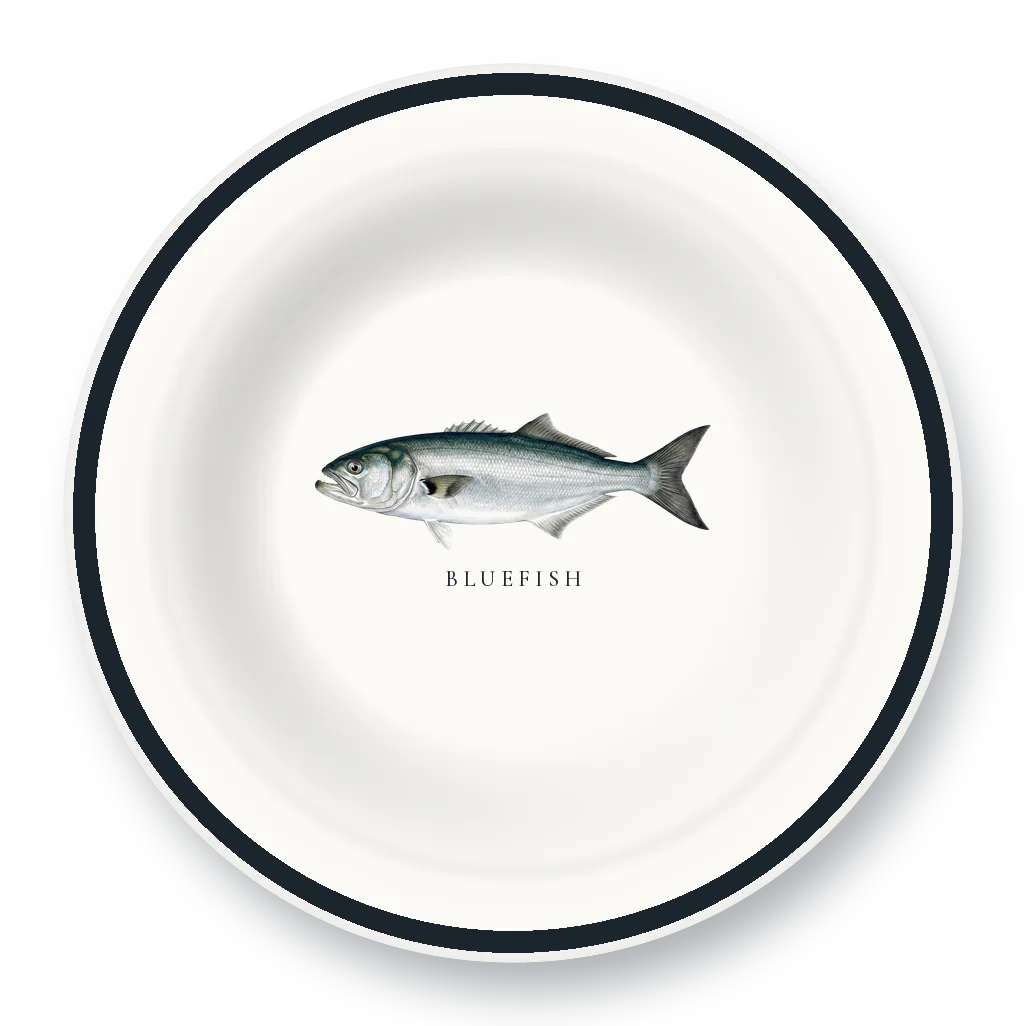 Enamel Bowl with Bluefish illustration