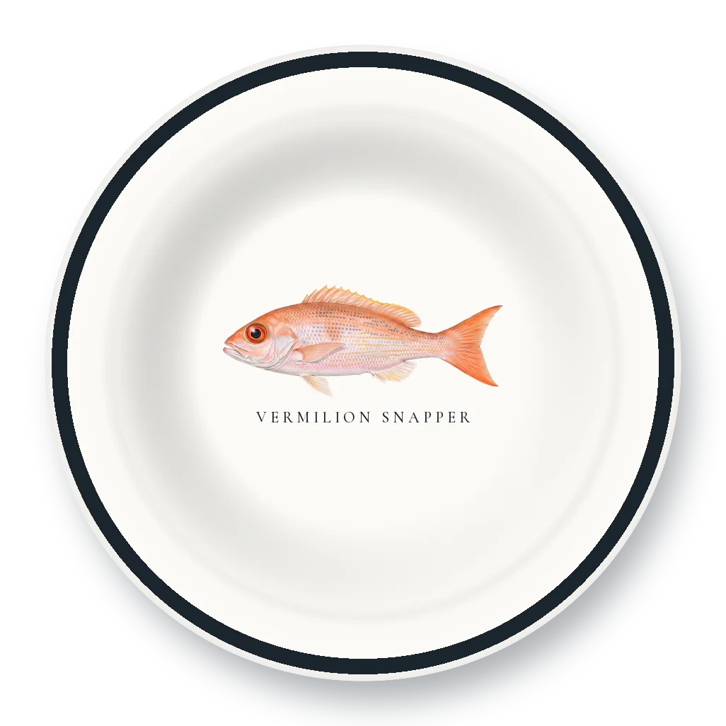 Enamel Bowl with Vermilion Snapper illustration