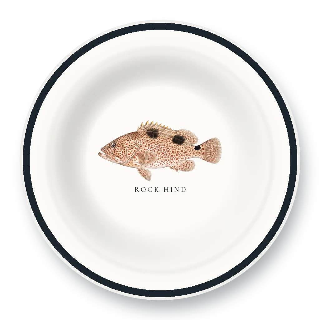 Enamel Bowl with Rock Hind illustration