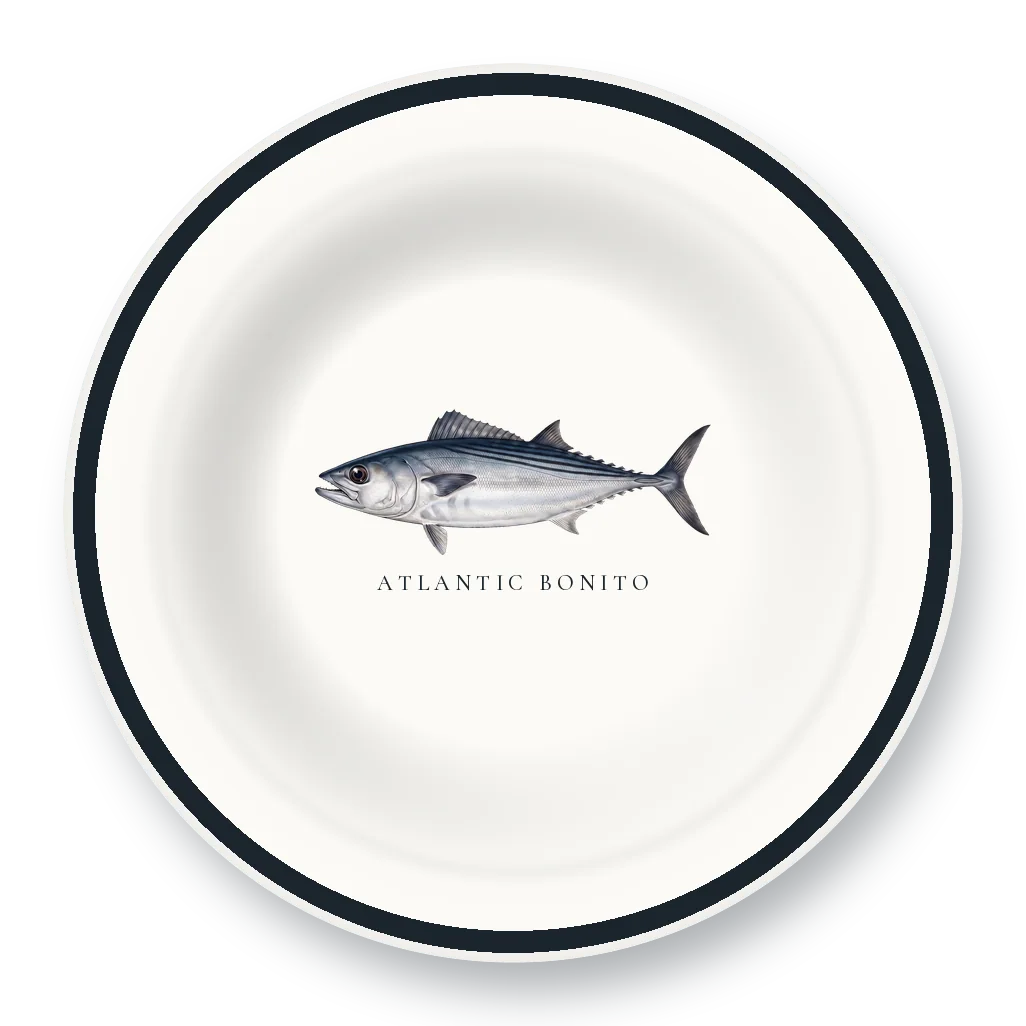 Enamel Bowl with Atlantic Bonito illustration