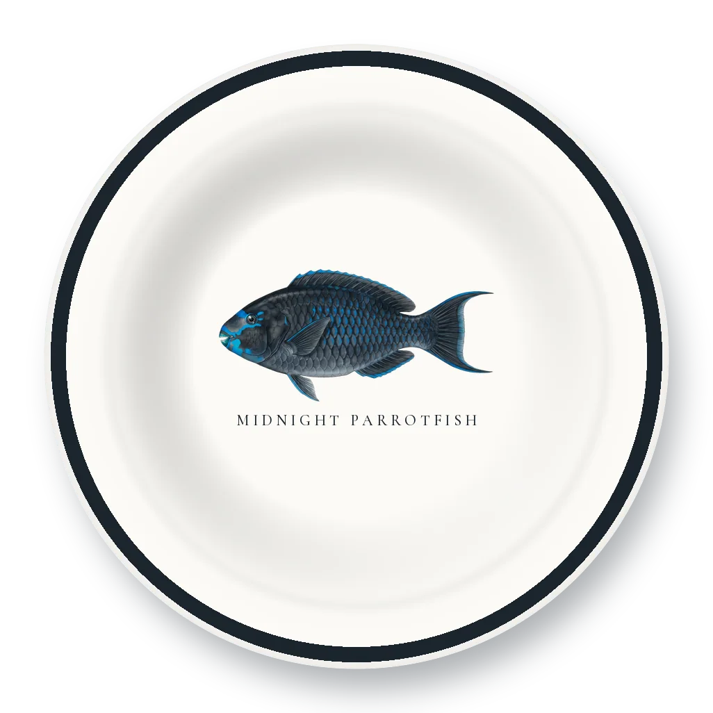 Enamel Bowl with Midnight Parrotfish illustration