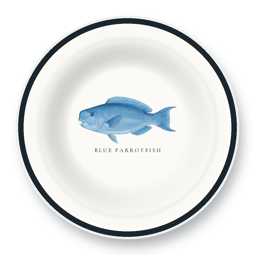 Enamel Bowl with Blue Parrotfish illustration