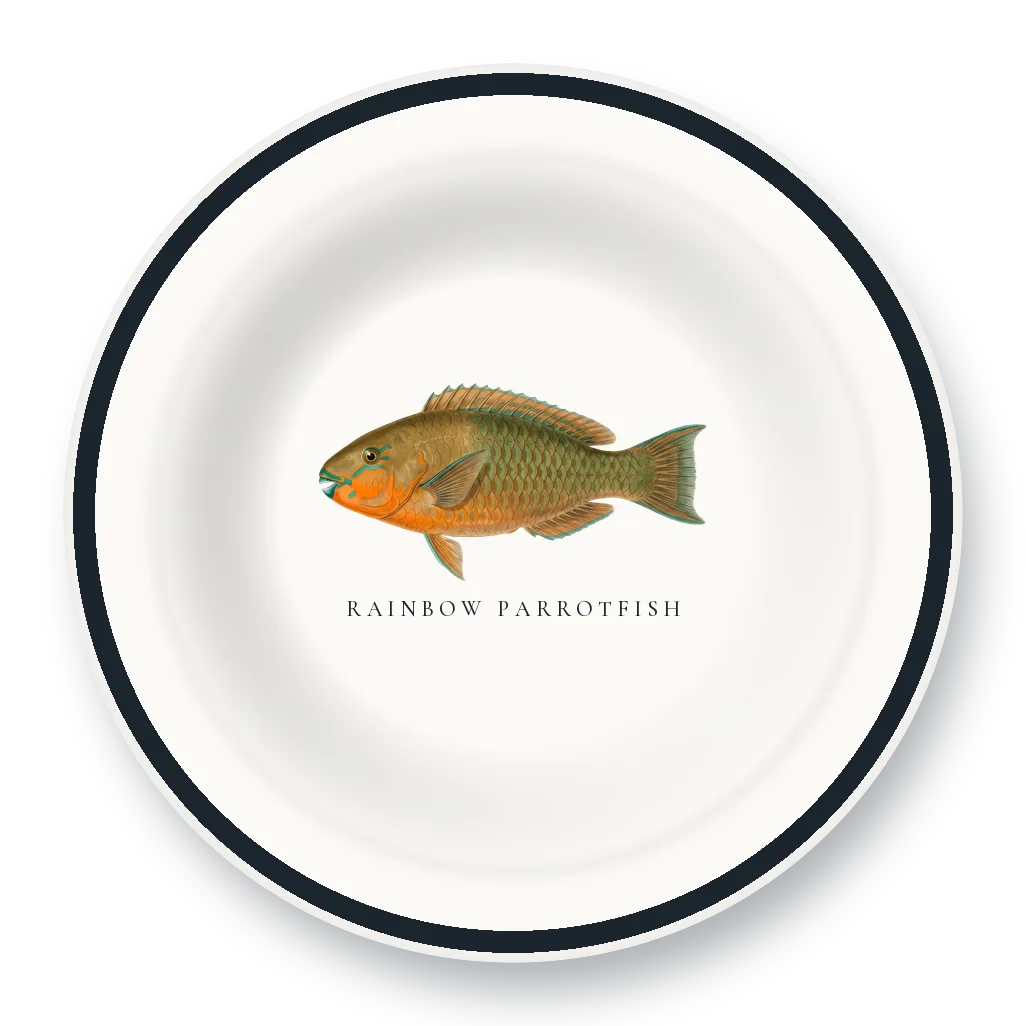 Enamel Bowl with Rainbow Parrotfish illustration