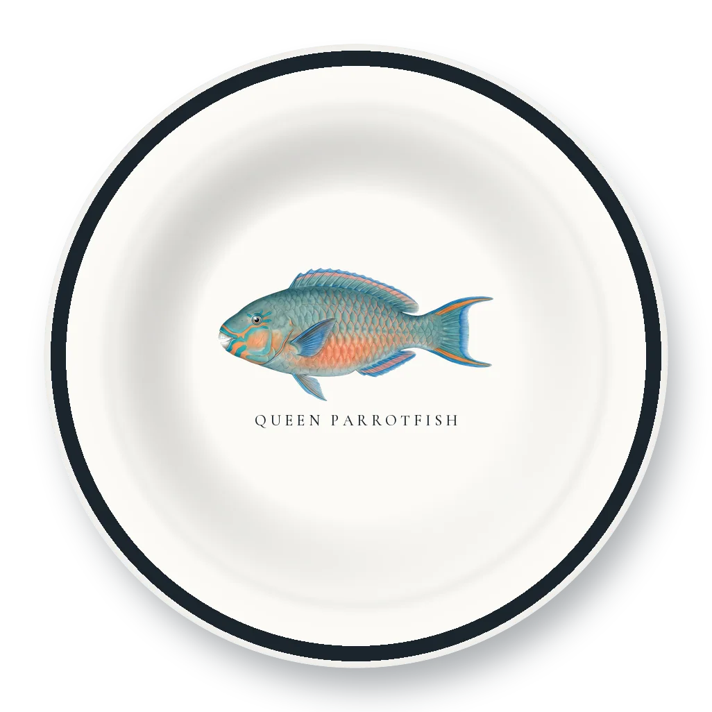 Enamel Bowl with Queen Parrotfish illustration
