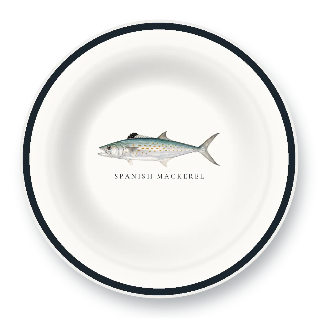 Enamel Bowl with Spanish Mackerel illustration