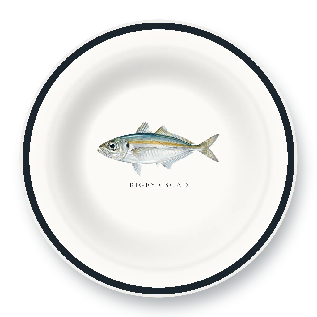 Enamel Bowl with Bigeye Scad illustration