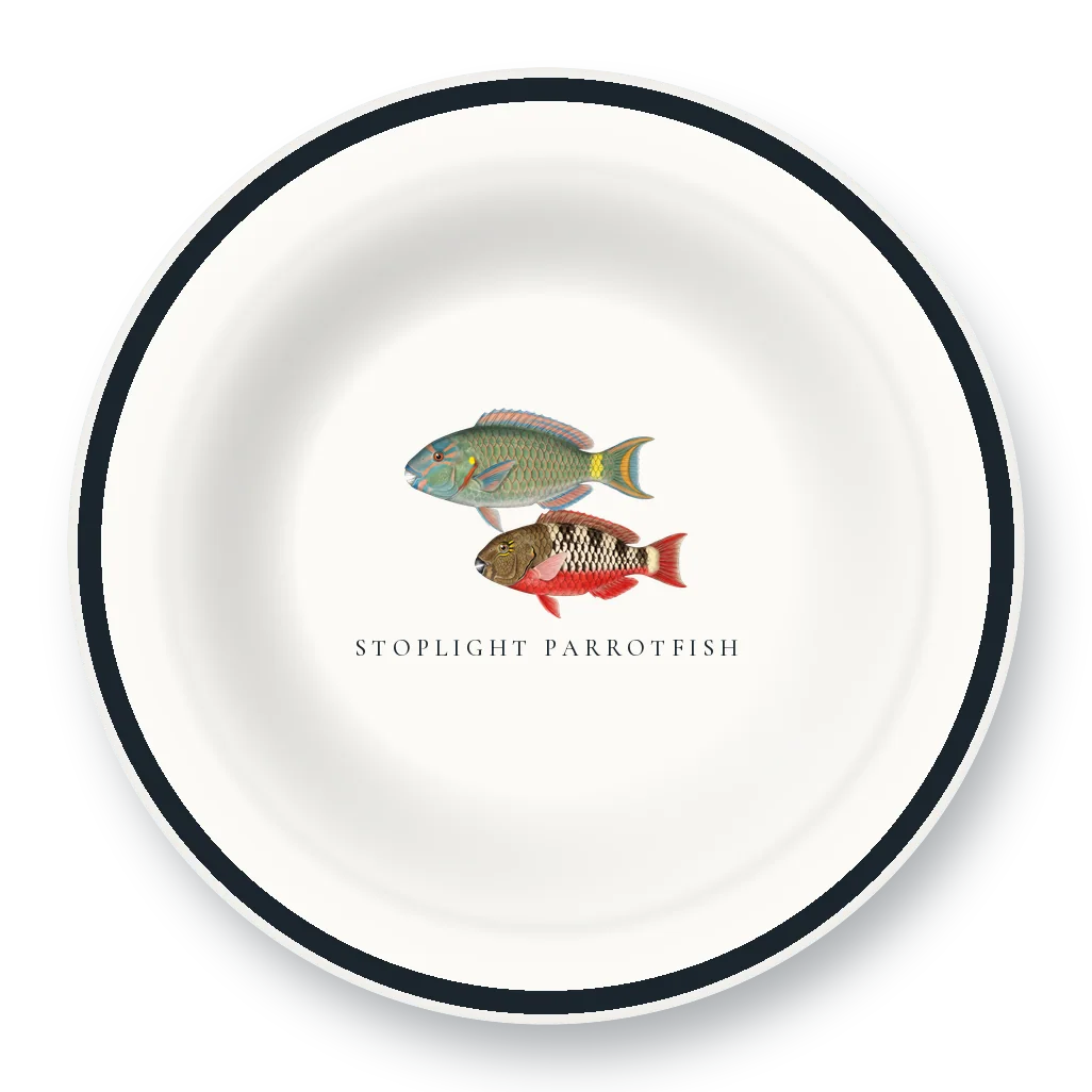 Enamel Bowl with Stoplight Parrotfish illustration