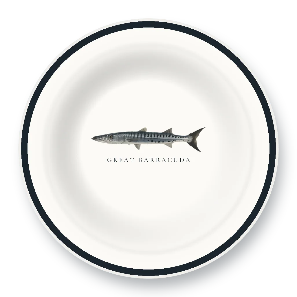 Enamel Bowl with Great Barracuda illustration