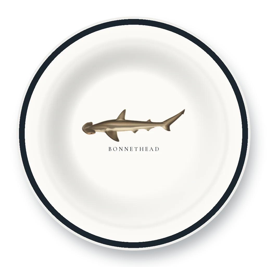 Enamel Bowl with Bonnethead illustration