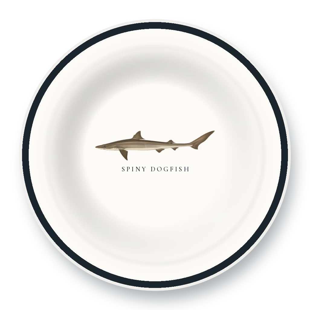 Enamel Bowl with Spiny Dogfish illustration