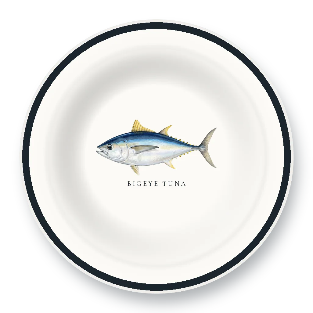 Enamel Bowl with Bigeye Tuna illustration