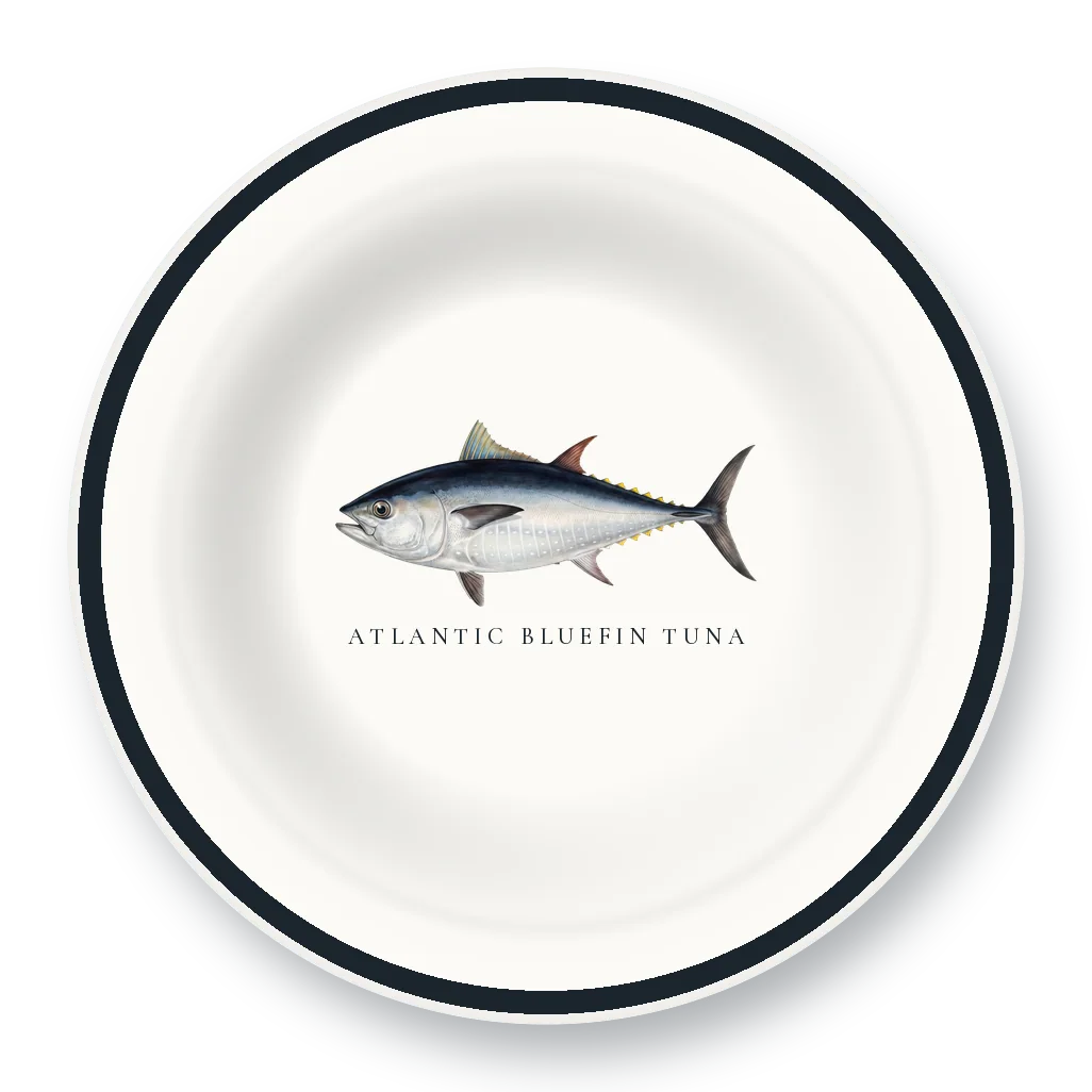 Enamel Bowl with Atlantic Bluefin Tuna illustration
