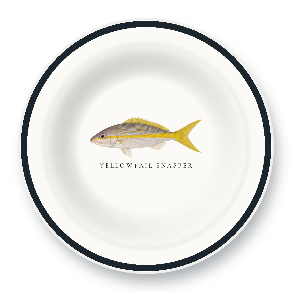 Enamel Bowl with Yellowtail Snapper illustration
