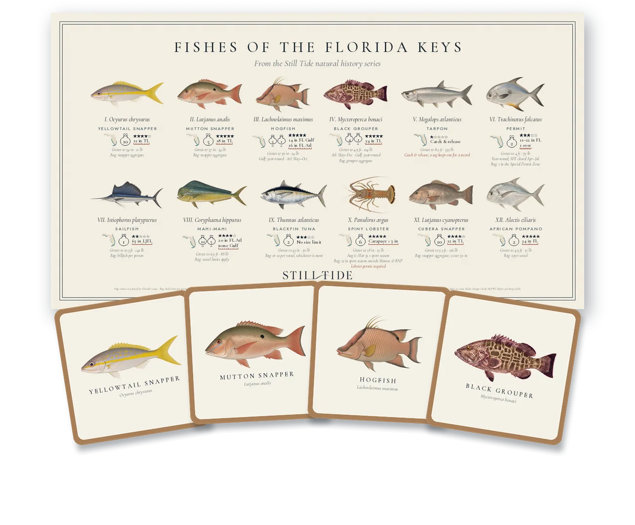 Home Waters Housewarming Set · The Florida Keys