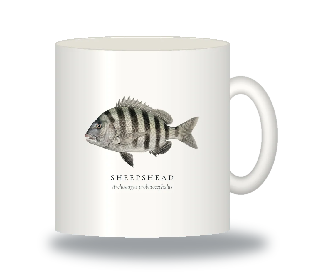 Ceramic Mug with Sheepshead illustration