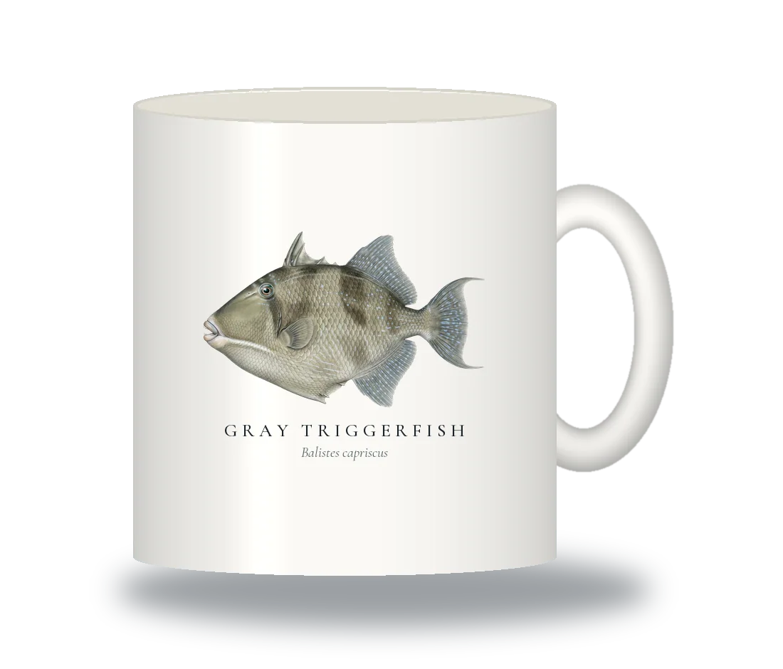 Ceramic Mug with Gray Triggerfish illustration