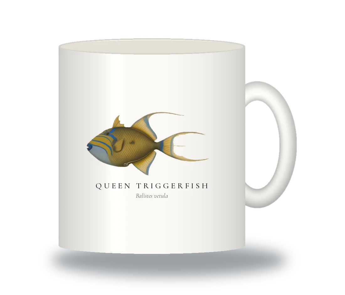 Ceramic Mug with Queen Triggerfish illustration