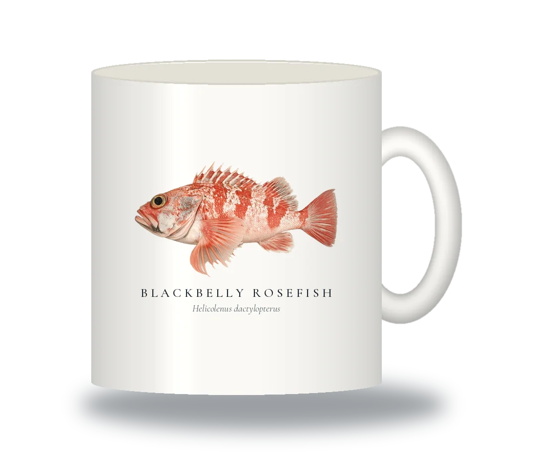 Ceramic Mug with Blackbelly Rosefish illustration