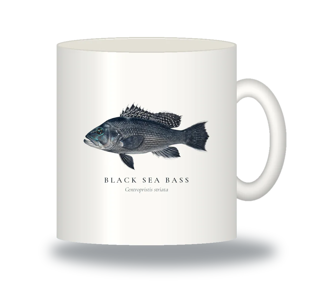 Ceramic Mug with Black Sea Bass illustration