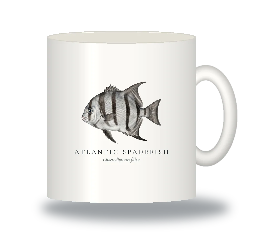 Ceramic Mug with Atlantic Spadefish illustration