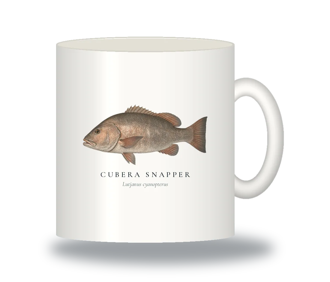 Ceramic Mug with Cubera Snapper illustration