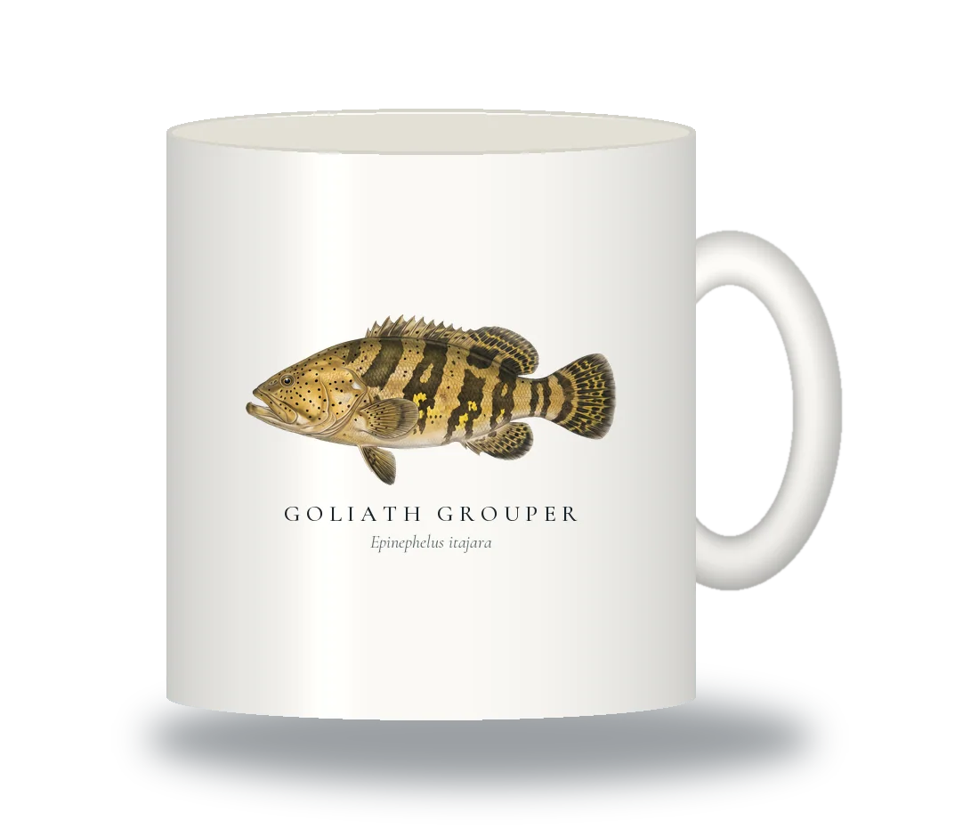 Ceramic Mug with Goliath Grouper illustration