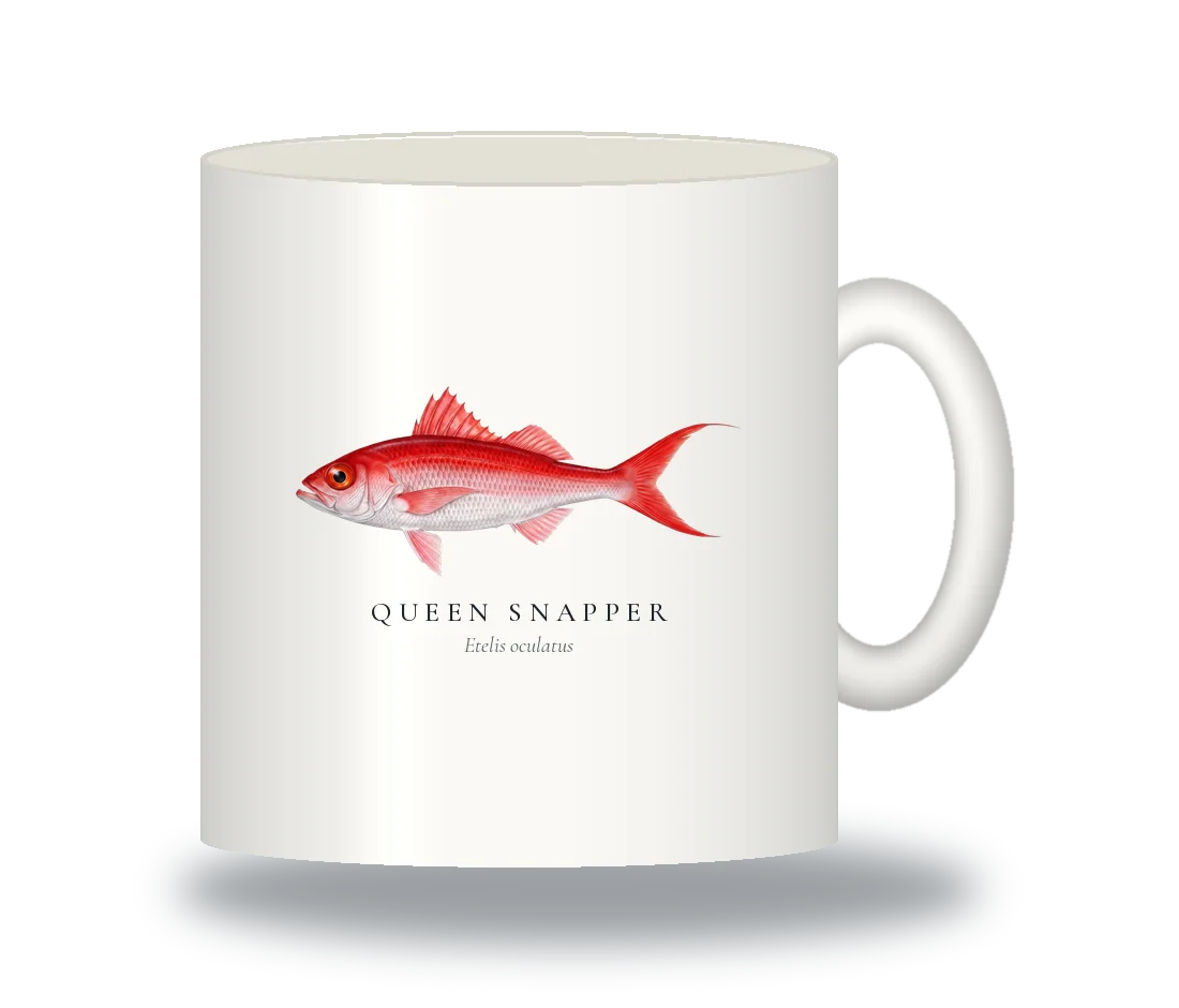 Ceramic Mug with Queen Snapper illustration