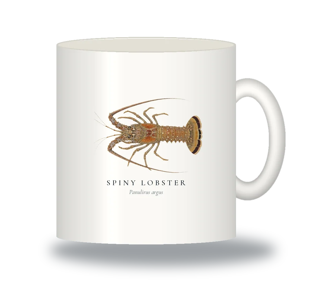 Ceramic Mug with Spiny Lobster illustration