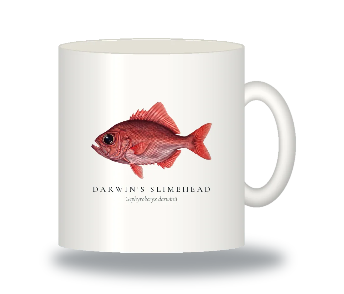 Ceramic Mug with Darwin's Slimehead illustration