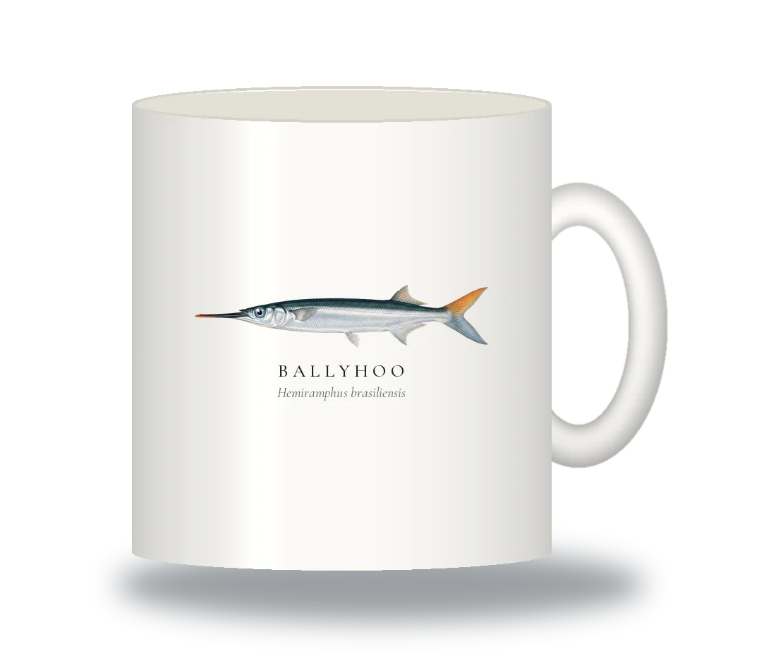 Ceramic Mug with Ballyhoo illustration