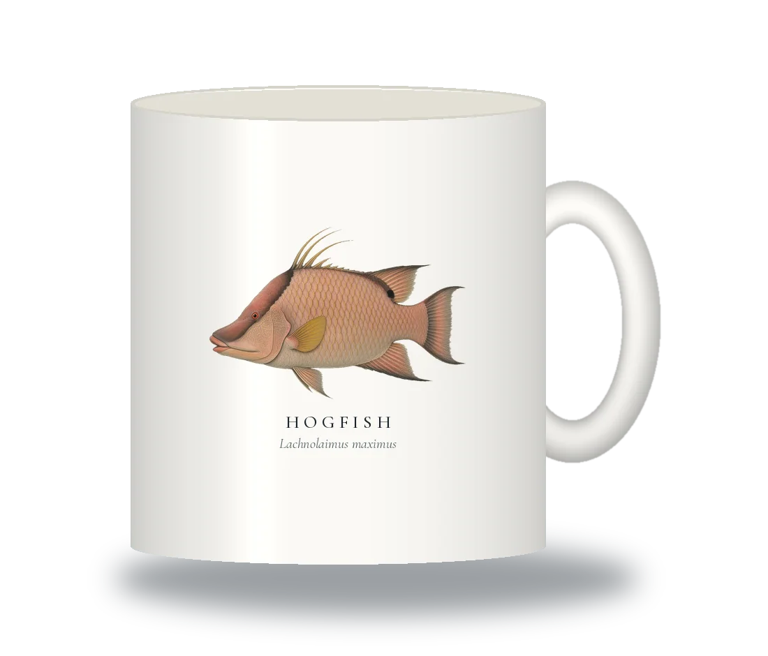 Ceramic Mug with Hogfish illustration