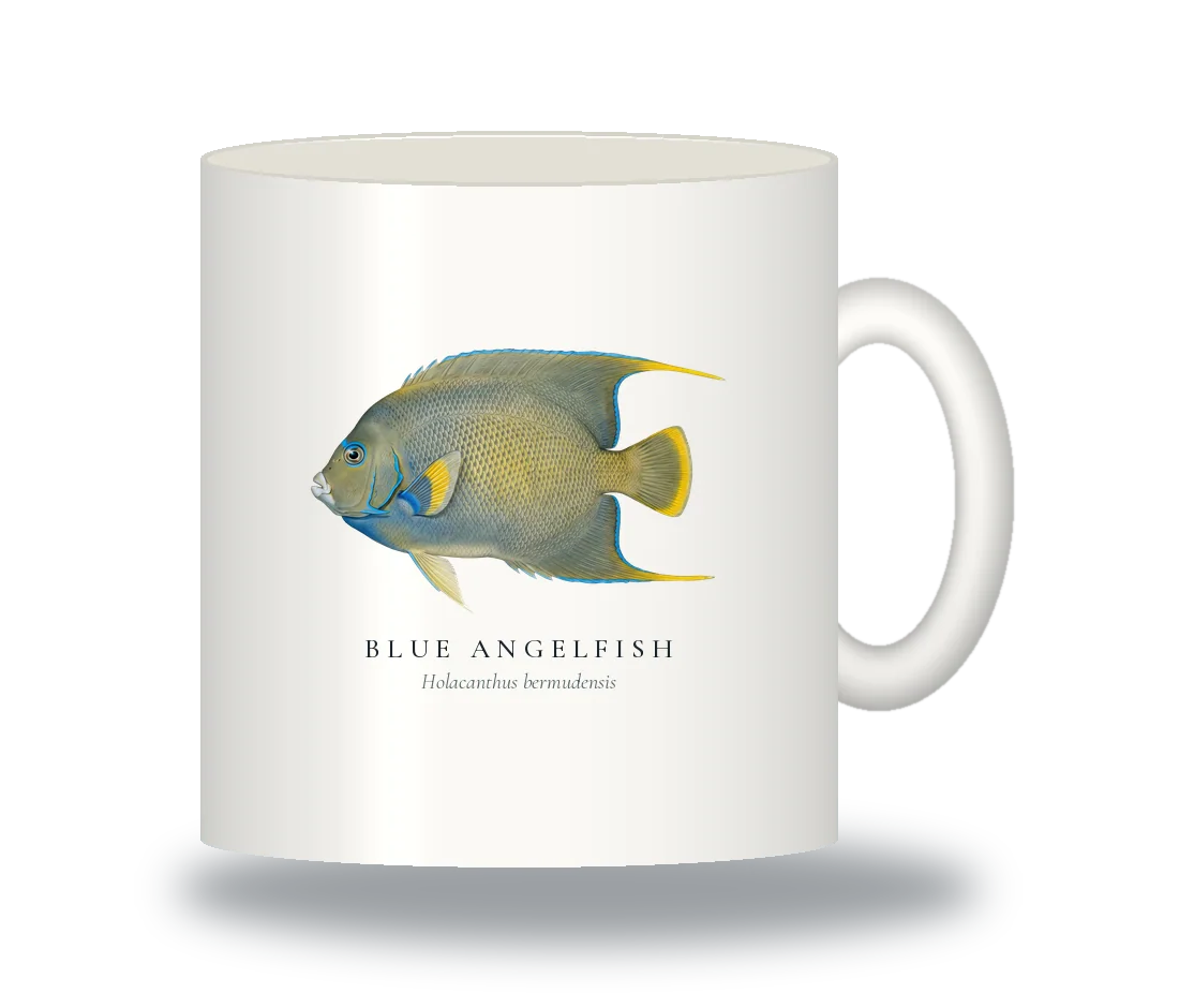 Ceramic Mug with Blue Angelfish illustration