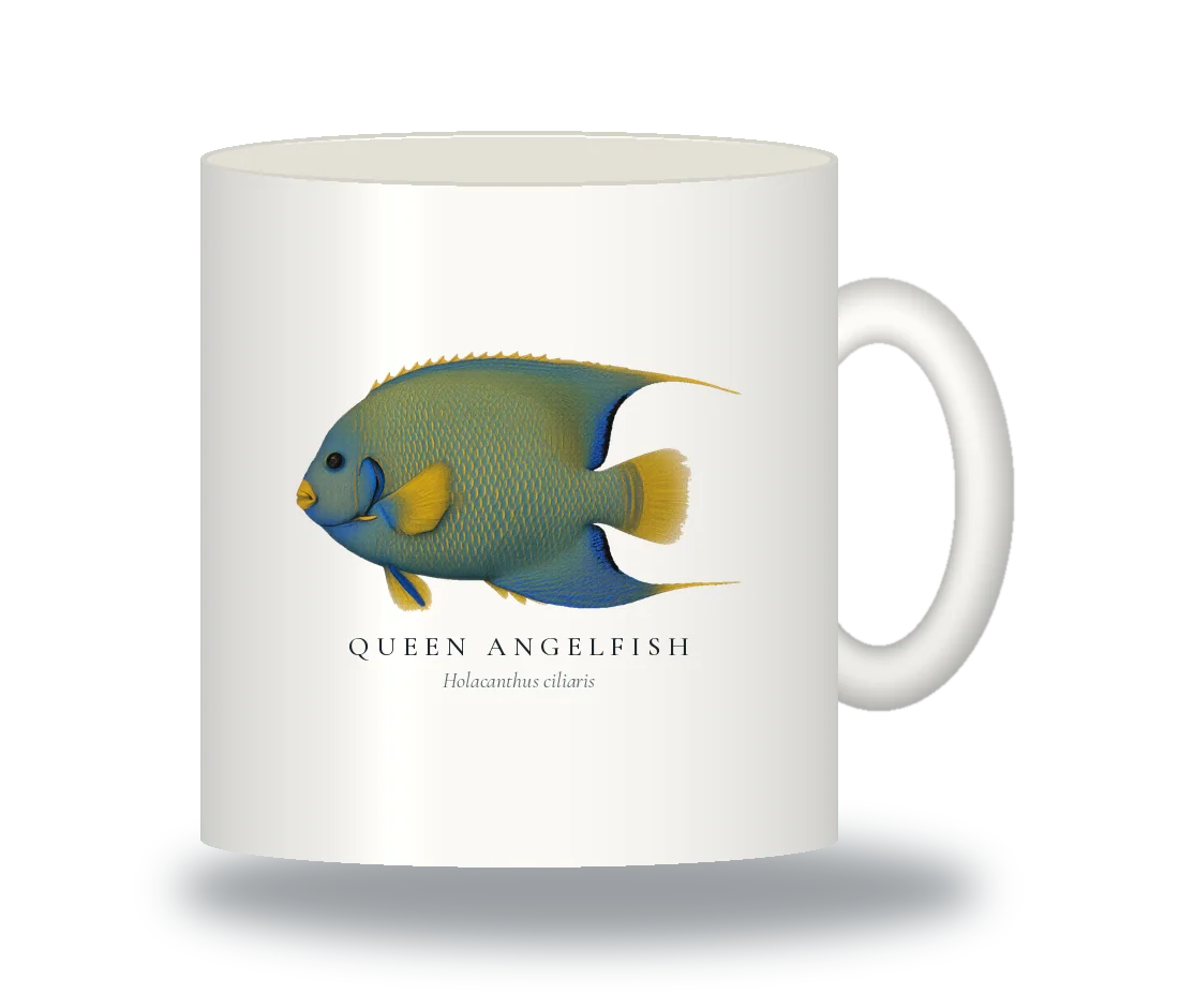 Ceramic Mug with Queen Angelfish illustration
