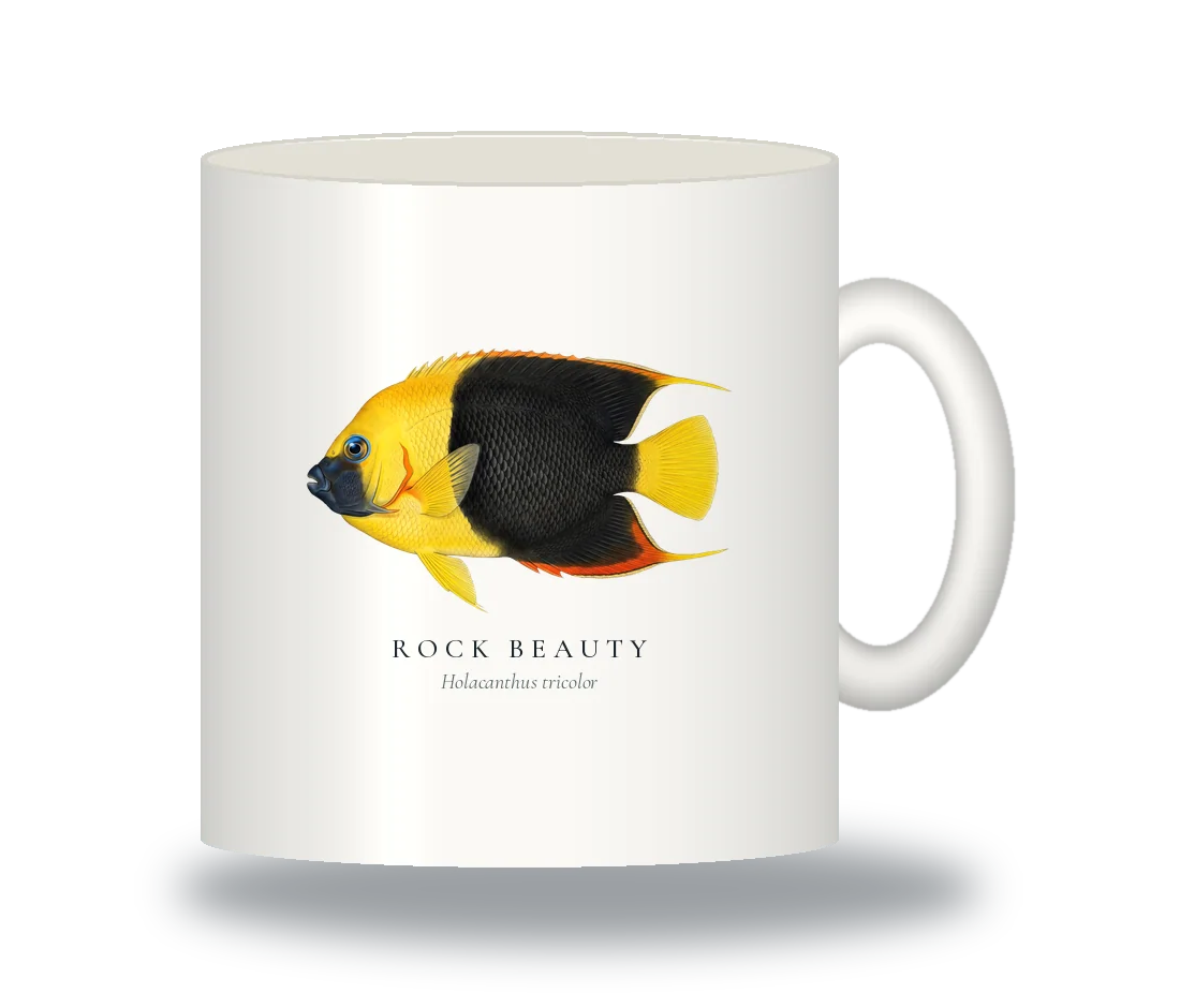 Ceramic Mug with Rock Beauty illustration