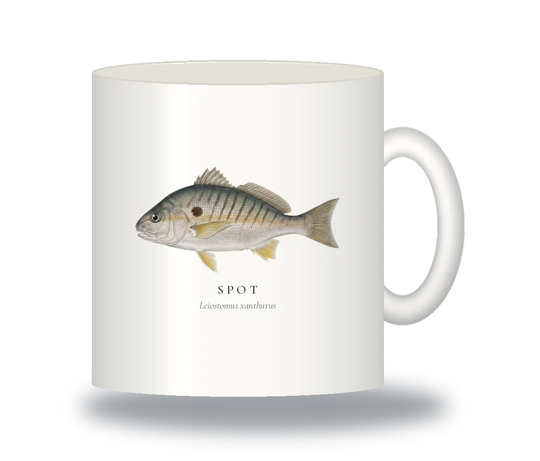 Ceramic Mug with Spot illustration