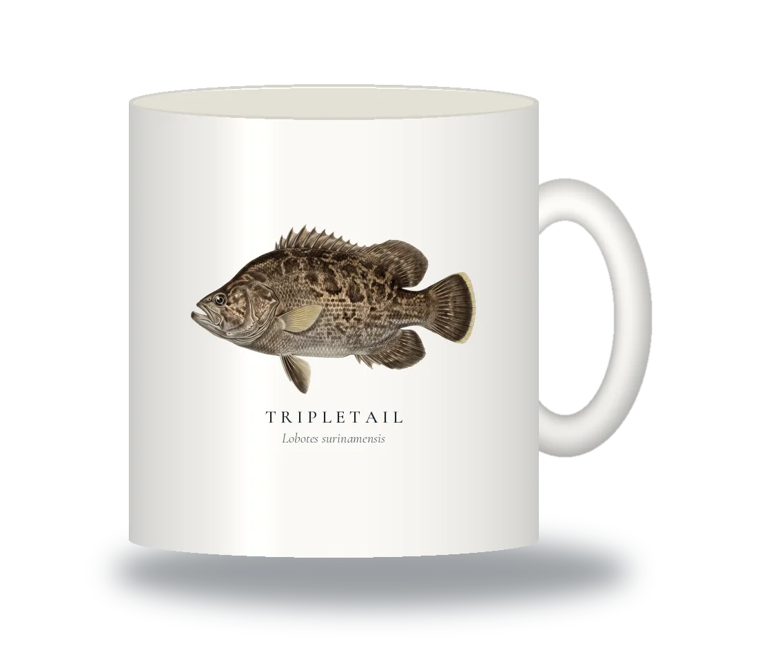 Ceramic Mug with Tripletail illustration