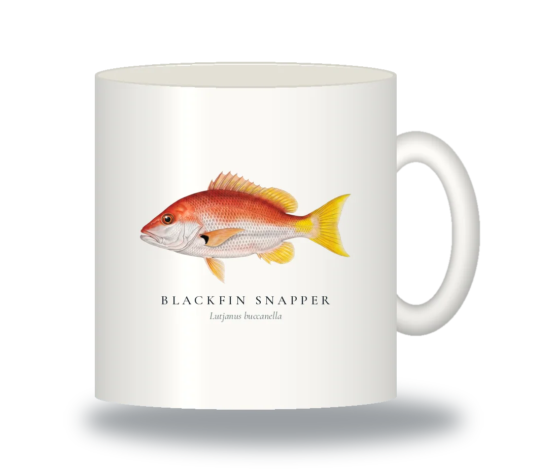 Ceramic Mug with Blackfin Snapper illustration