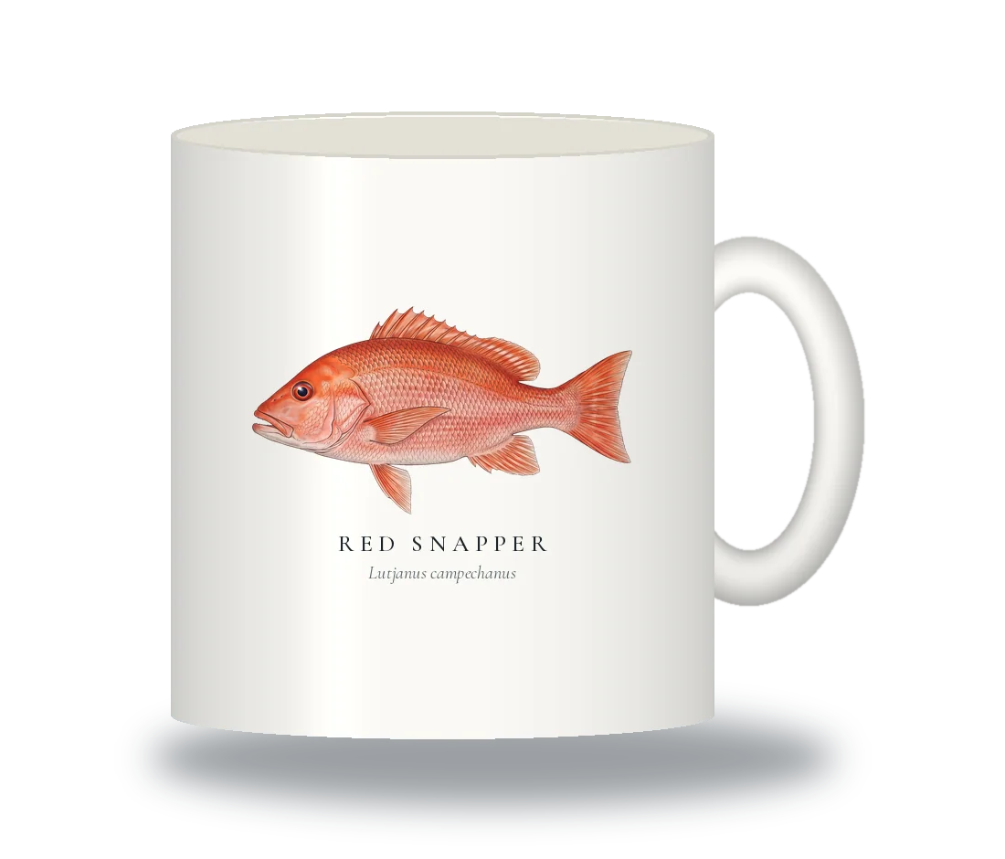 Ceramic Mug with Red Snapper illustration