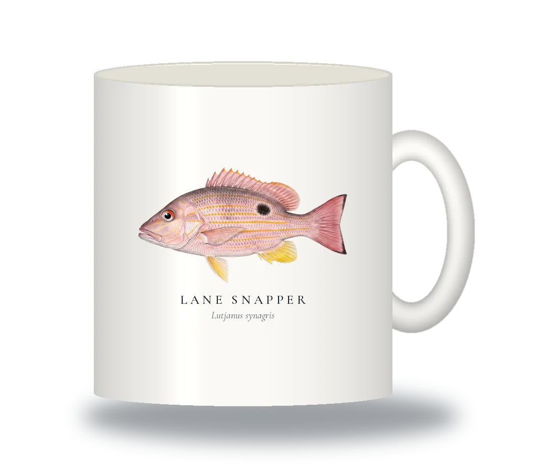 Ceramic Mug with Lane Snapper illustration