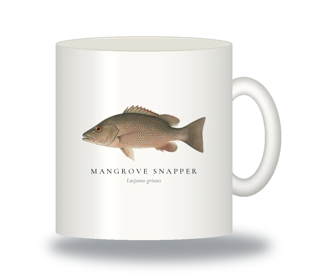 Ceramic Mug with Mangrove Snapper illustration