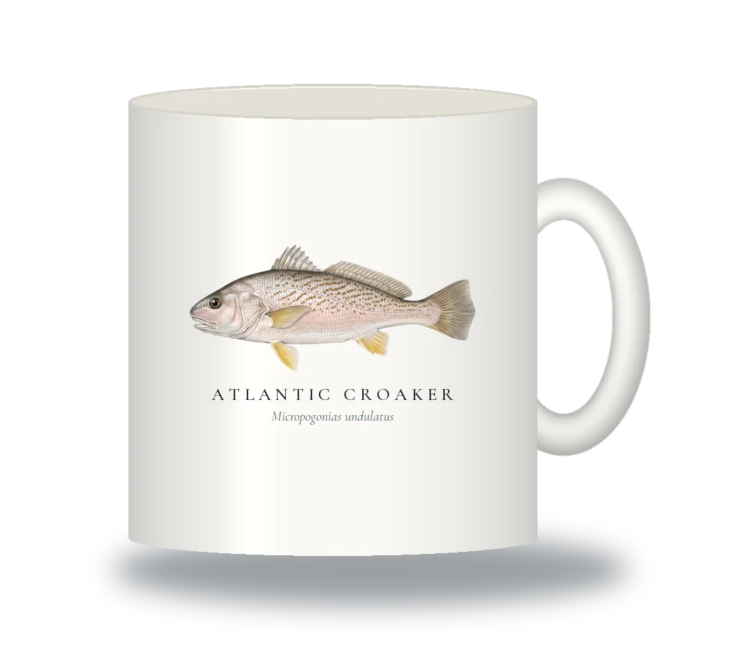 Ceramic Mug with Atlantic Croaker illustration