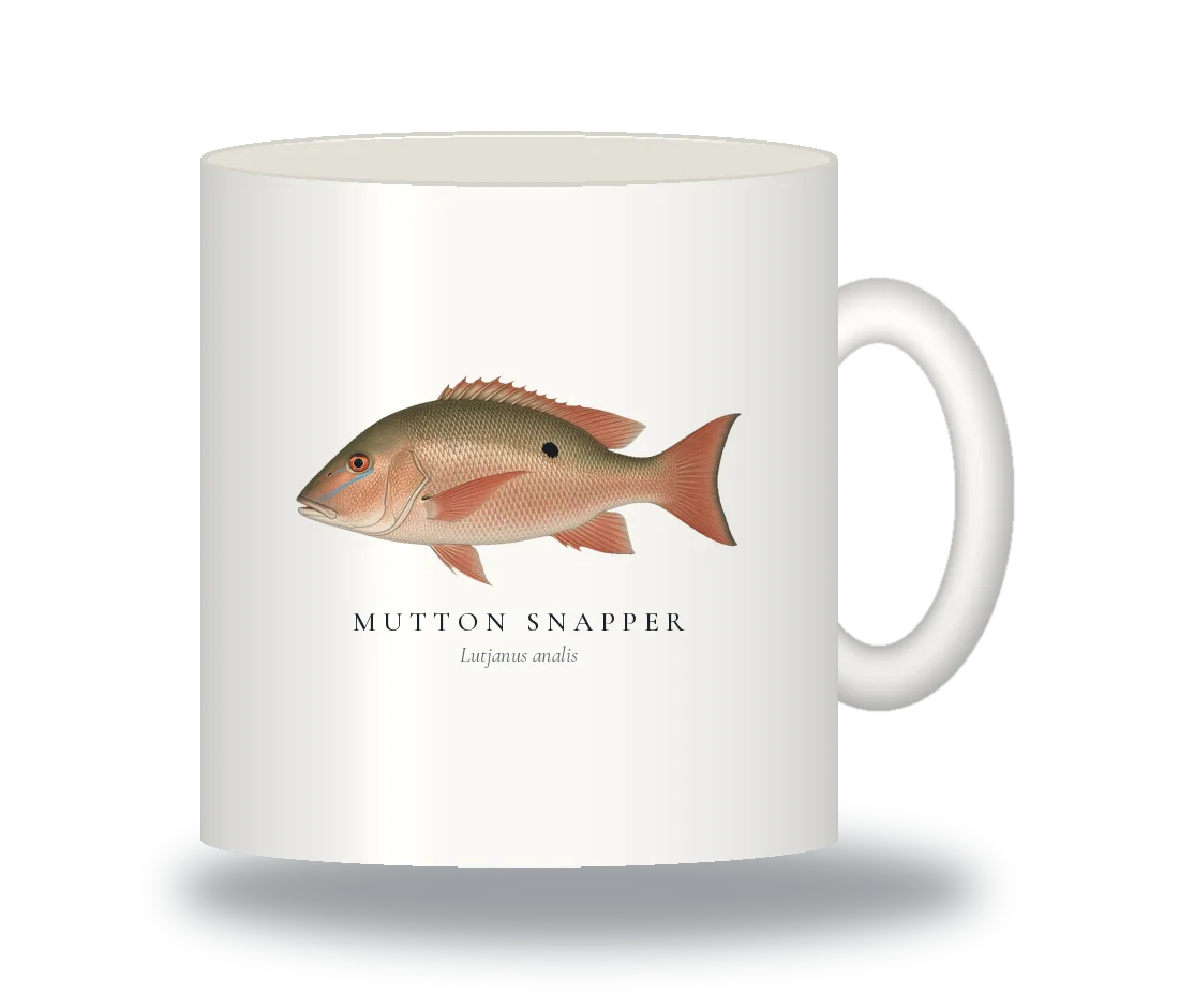 Ceramic Mug with Mutton Snapper illustration